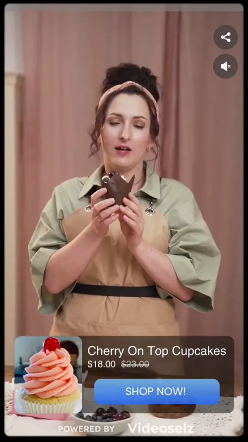 Videoselz video player preview